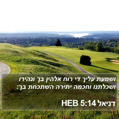 דניאל 5:14 HEB Bible Verse Image