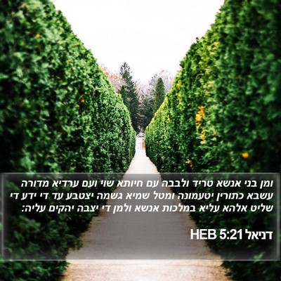 דניאל 5:21 HEB Bible Verse Image