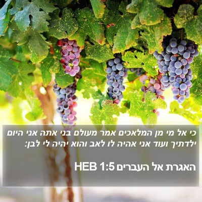 האגרת אל העברים 1:5 HEB Bible Verse Image