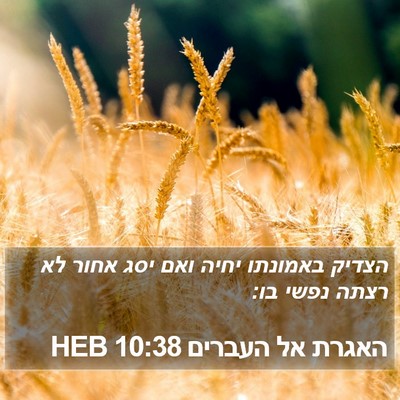 האגרת אל העברים 10:38 HEB Bible Verse Image