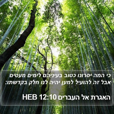 האגרת אל העברים 12:10 HEB Bible Verse Image