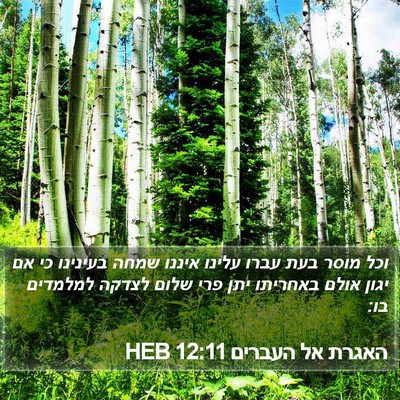 האגרת אל העברים 12:11 HEB Bible Verse Image