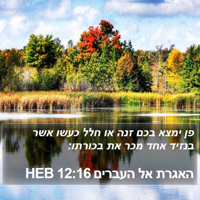 האגרת אל העברים 12:16 HEB Bible Verse Image