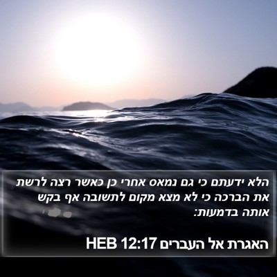 האגרת אל העברים 12:17 HEB Bible Verse Image