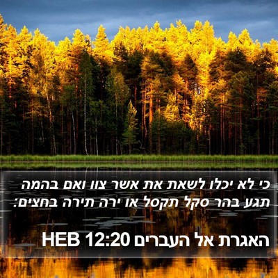 האגרת אל העברים 12:20 HEB Bible Verse Image