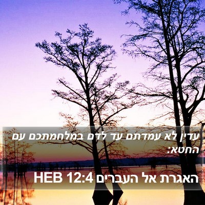 האגרת אל העברים 12:4 HEB Bible Verse Image