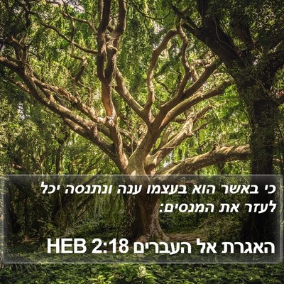 האגרת אל העברים 2:18 HEB Bible Verse Image