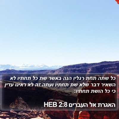האגרת אל העברים 2:8 HEB Bible Verse Image