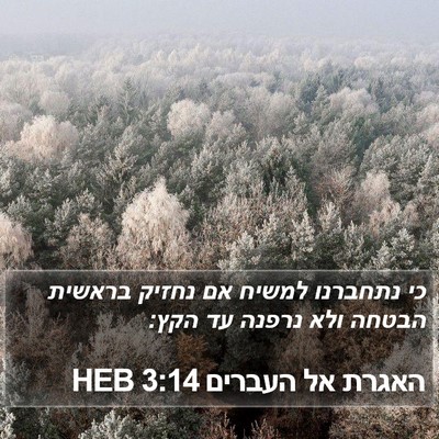 האגרת אל העברים 3:14 HEB Bible Verse Image
