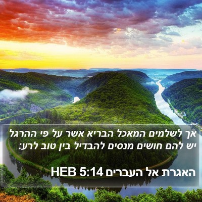 האגרת אל העברים 5:14 HEB Bible Verse Image