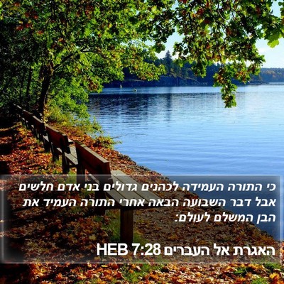 האגרת אל העברים 7:28 HEB Bible Verse Image