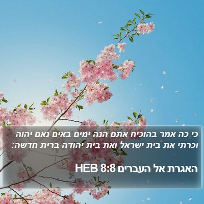 האגרת אל העברים 8:8 HEB Bible Verse Image