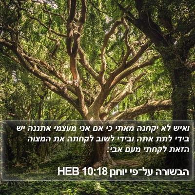 הבשורה על־פי יוחנן 10:18 HEB Bible Verse Image