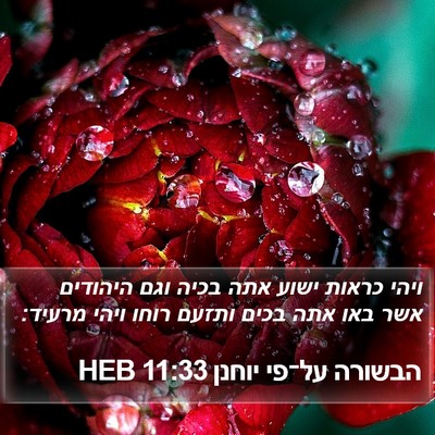 הבשורה על־פי יוחנן 11:33 HEB Bible Verse Image