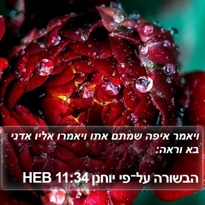 הבשורה על־פי יוחנן 11:34 HEB Bible Verse Image