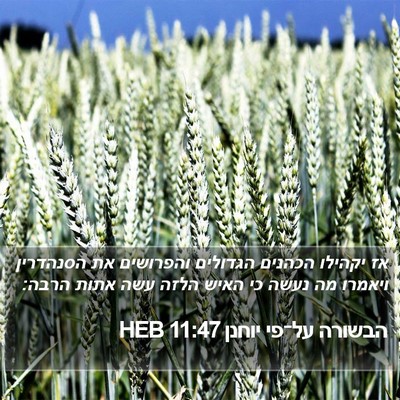 הבשורה על־פי יוחנן 11:47 HEB Bible Verse Image