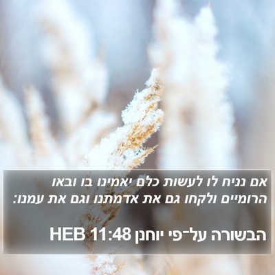 הבשורה על־פי יוחנן 11:48 HEB Bible Verse Image
