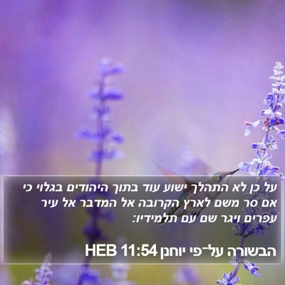 הבשורה על־פי יוחנן 11:54 HEB Bible Verse Image