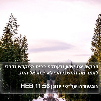 הבשורה על־פי יוחנן 11:56 HEB Bible Verse Image