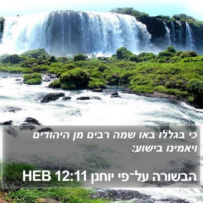 הבשורה על־פי יוחנן 12:11 HEB Bible Verse Image