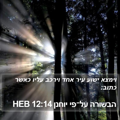 הבשורה על־פי יוחנן 12:14 HEB Bible Verse Image