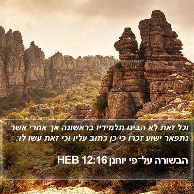 הבשורה על־פי יוחנן 12:16 HEB Bible Verse Image
