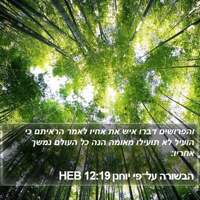 הבשורה על־פי יוחנן 12:19 HEB Bible Verse Image