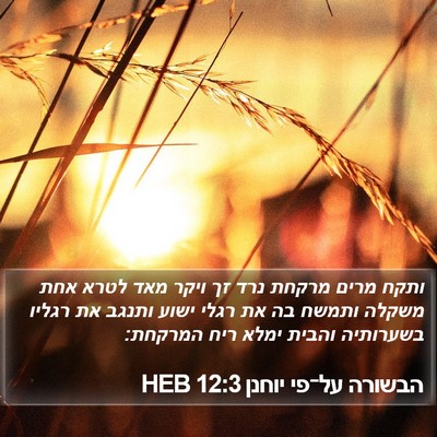 הבשורה על־פי יוחנן 12:3 HEB Bible Verse Image
