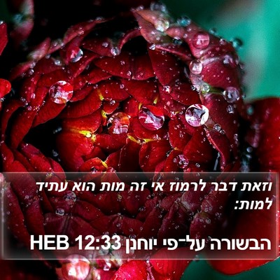 הבשורה על־פי יוחנן 12:33 HEB Bible Verse Image
