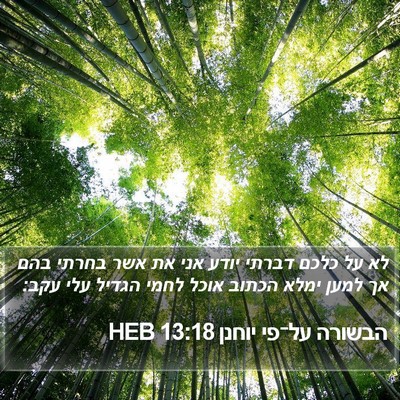 הבשורה על־פי יוחנן 13:18 HEB Bible Verse Image