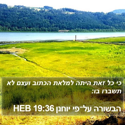 הבשורה על־פי יוחנן 19:36 HEB Bible Verse Image