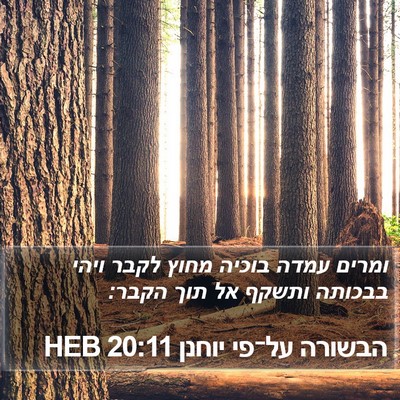 הבשורה על־פי יוחנן 20:11 HEB Bible Verse Image