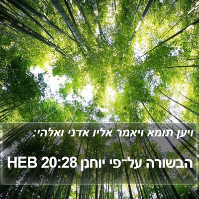 הבשורה על־פי יוחנן 20:28 HEB Bible Verse Image