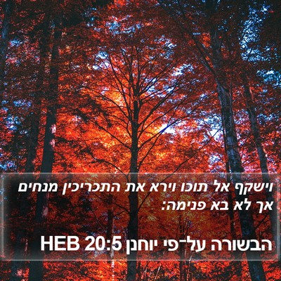 הבשורה על־פי יוחנן 20:5 HEB Bible Verse Image