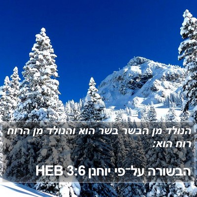 הבשורה על־פי יוחנן 3:6 HEB Bible Verse Image