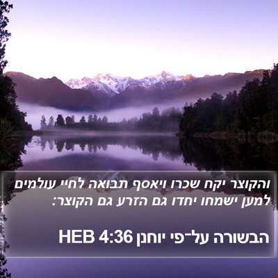 הבשורה על־פי יוחנן 4:36 HEB Bible Verse Image