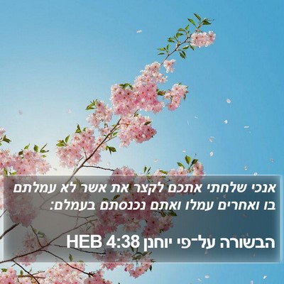 הבשורה על־פי יוחנן 4:38 HEB Bible Verse Image