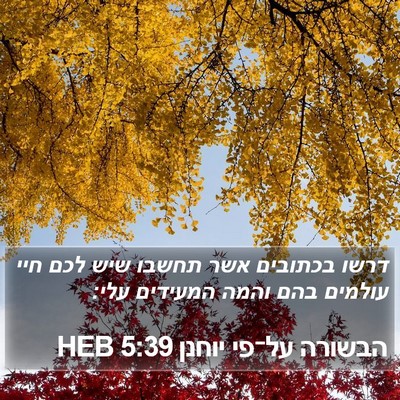 הבשורה על־פי יוחנן 5:39 HEB Bible Verse Image