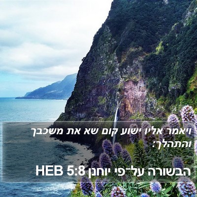 הבשורה על־פי יוחנן 5:8 HEB Bible Verse Image