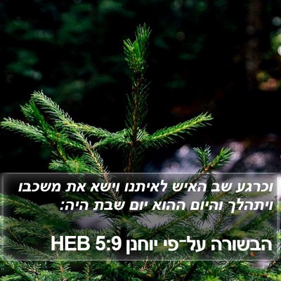 הבשורה על־פי יוחנן 5:9 HEB Bible Verse Image