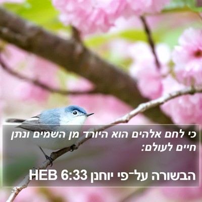 הבשורה על־פי יוחנן 6:33 HEB Bible Verse Image