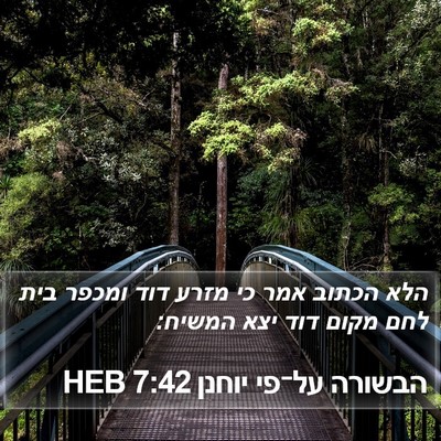 הבשורה על־פי יוחנן 7:42 HEB Bible Verse Image