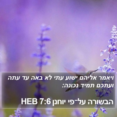 הבשורה על־פי יוחנן 7:6 HEB Bible Verse Image