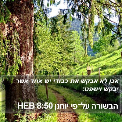 הבשורה על־פי יוחנן 8:50 HEB Bible Verse Image