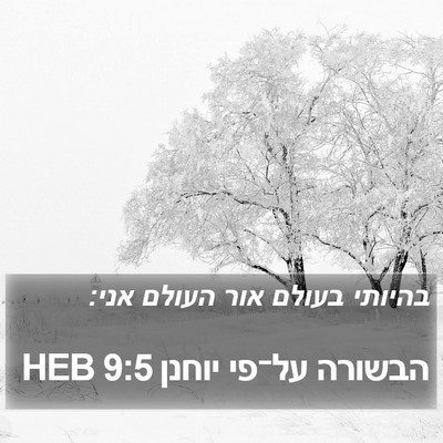 הבשורה על־פי יוחנן 9:5 HEB Bible Verse Image
