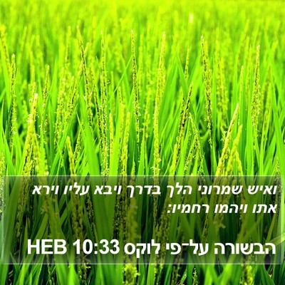 הבשורה על־פי לוקס 10:33 HEB Bible Verse Image