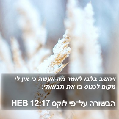 הבשורה על־פי לוקס 12:17 HEB Bible Verse Image