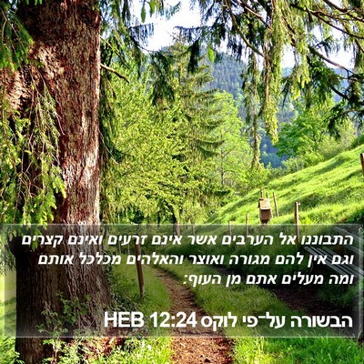 הבשורה על־פי לוקס 12:24 HEB Bible Verse Image