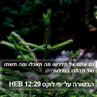 הבשורה על־פי לוקס 12:29 HEB Bible Verse Image