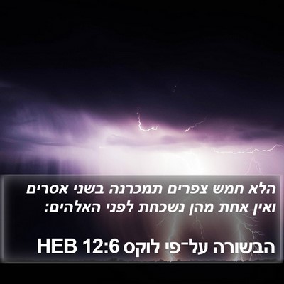 הבשורה על־פי לוקס 12:6 HEB Bible Verse Image